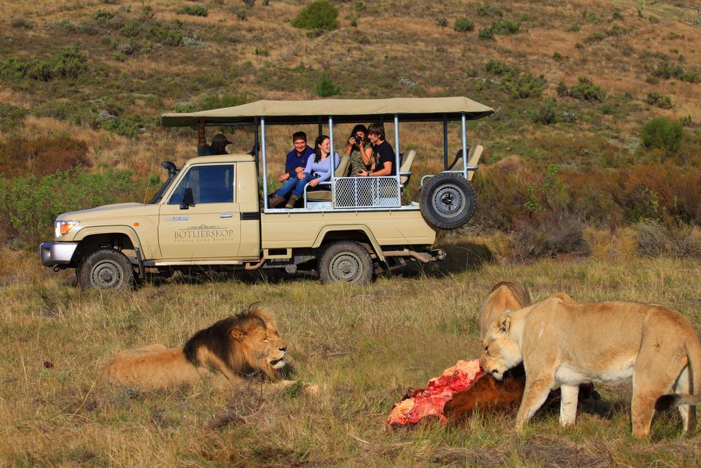 Botlierskop Private Game Reserve Reebok Bagian luar foto